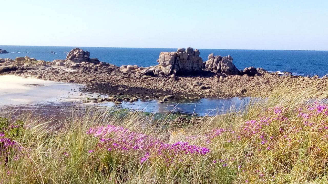 Tiny House Sur La Cote Bretonne Holiday home